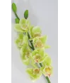 Vara ramo orquideas cinbidium latex 80