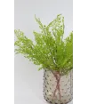Ramito cilantrillo fino latex 43 cmts
