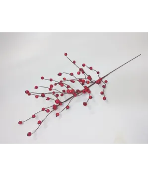 Vara larga berries EE.UU 70cm