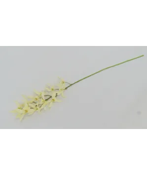 Orquídea en ramillete color...