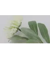 Vara flor agapantos narcissos fina  latex 60cm largo