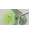 Vara flor agapantos narcissos fina verde latex 60cm largo