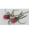 Vara flor mangostino red en latex 80cm largo