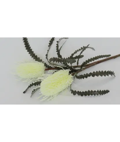Vara flor mangostino blanco en latex 80cm largo