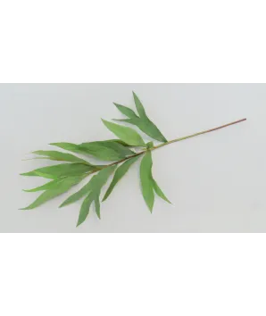 Vara  hojas cuerno verde látex  85cm largo