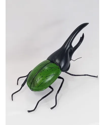 Escarabajo hércules verde