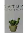 Papelera cactus  Premium en acrílico 30*20cm