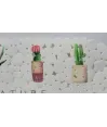 Tapete de cactus para baño antideslizante en  plástico 69x35cm