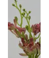 orquídeas  x 3 pequeñas en látex 30cm de largo