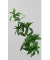 Vara multi hojas verde panacea 70cm de alto