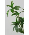 Vara multi hojas verde panacea 70cm de alto