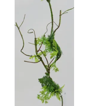Tronco de musgo botánico75cm de largo