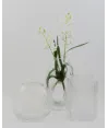 florero cristal redondo transparente 20cm de diámetro
