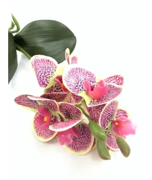 Ramito sutil orquídeas tupido 29cm  no incluye florero