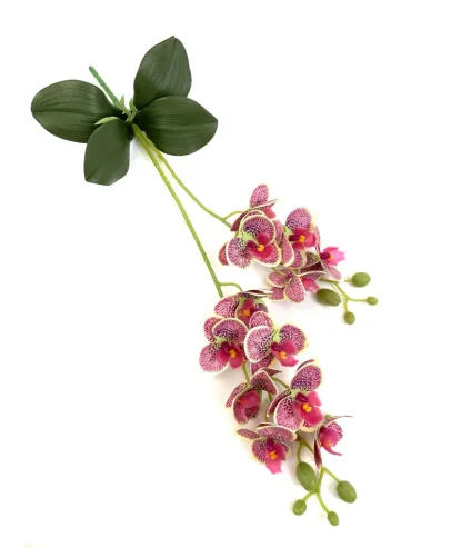 vara doble hojas orquídea 56cm    (no incluye florero )
