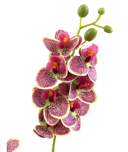 vara doble hojas orquídea 56cm    (no incluye florero )