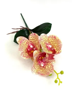 ramo mdno orquídea hojas andina 35cm   (no incluye florero )