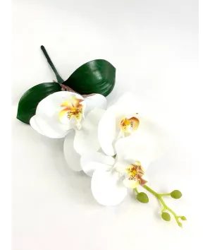 ramo mdno orquídea hojas andina 35cm   (no incluye florero )