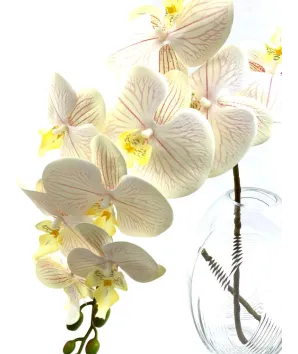 Vara orquídea gde látex 93 cm   (no incluye florero )
