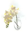 Vara orquídea gde látex 93 cm   (no incluye florero )