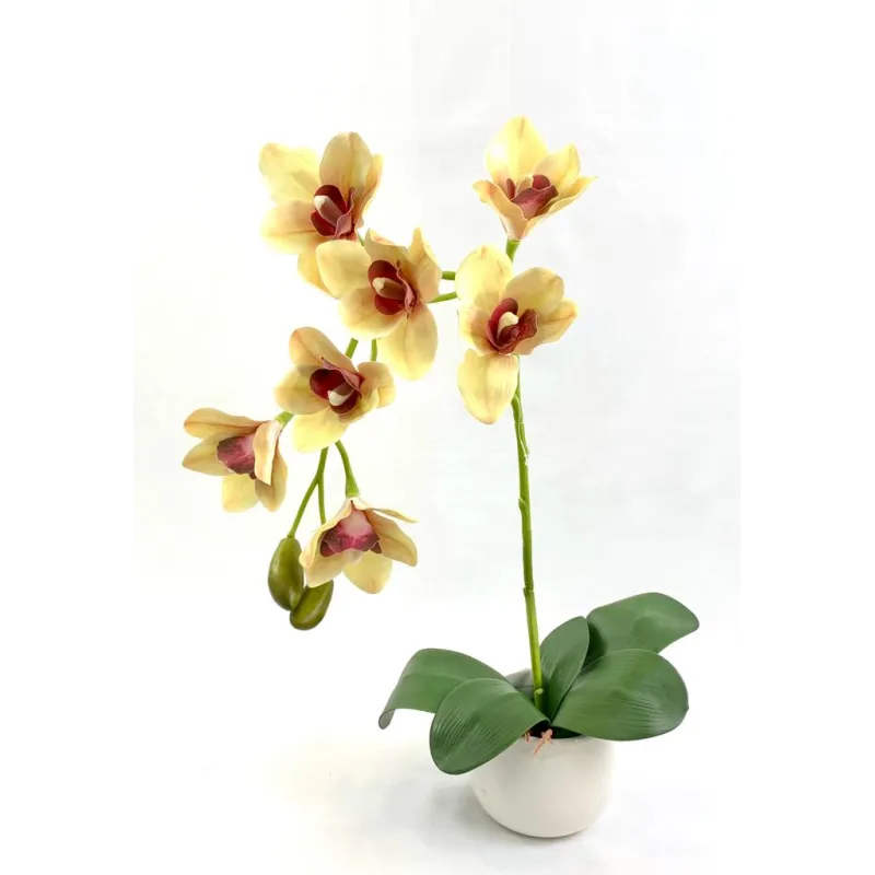 Mata orquídea por 7 flores 66cm incluye base