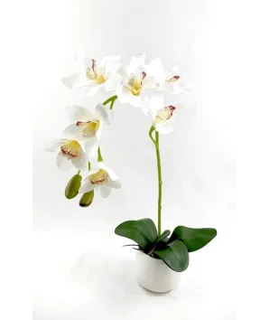 Mata orquídea por 7 flores 66cm incluye base