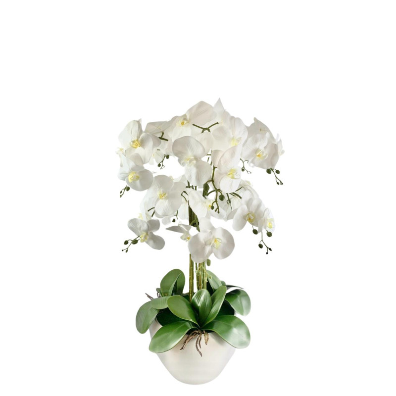 orquídea mata fina redonda 72x39 cm