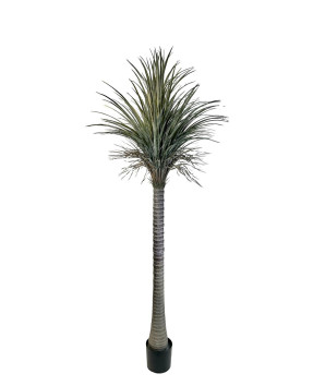 palma grande  africa 220x40cm