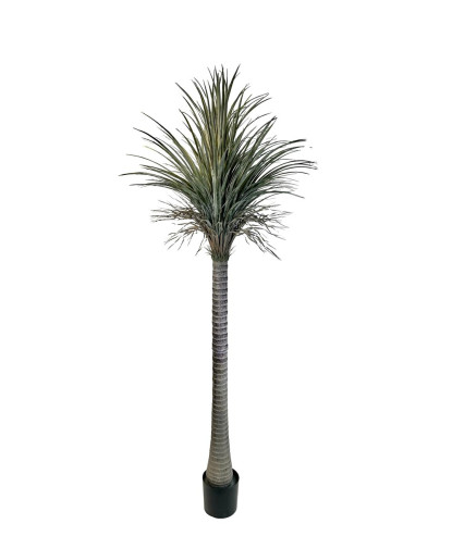 palma grande  africa 220x40cm