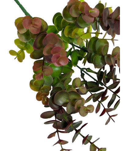 ramito tupido eucalipto  pequeño fino 30 cm