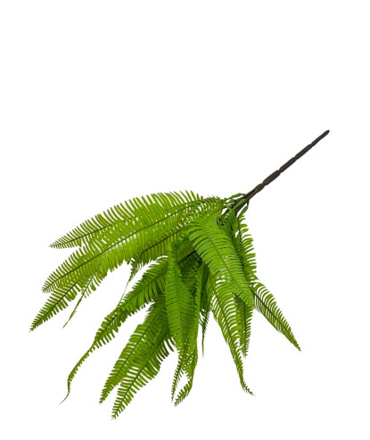 ramo helecho green premium 48cm